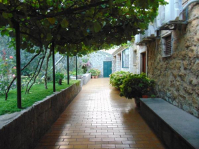 Villa Jelka Apartment
